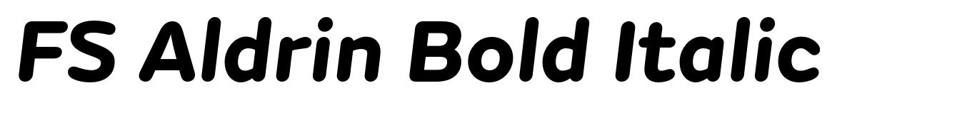 FS Aldrin Bold Italic